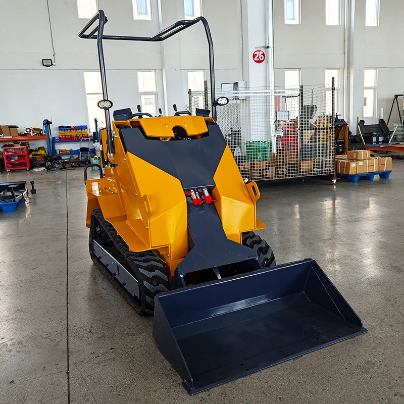 Customized Mini Sliding Loader Euro 5 Multi-functional Mini Crawler Dump Truck CE EPA Mini Sliding Loader for Sale