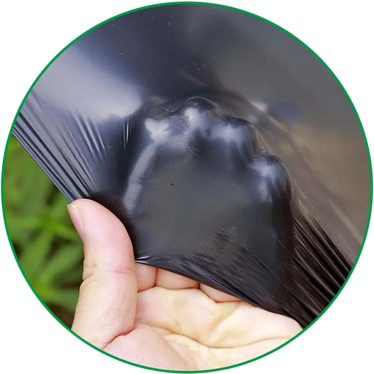 

2025Black Polyethylene Plastic Mulch Sheeting Agricultural Silver Black Mulch Film