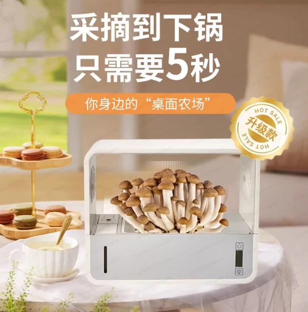 Household Automatic Humidification Shiitake Cultivator – Smart Mushroom Growing Cabinet for Home Use