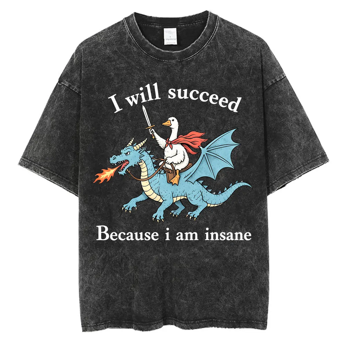 Wash I Will Succeed Because I Am Insane T-Shirts Funny Goose Dragon Meme Vintage T Shirts Oversized Cotton Casual O-Neck T-shirt
