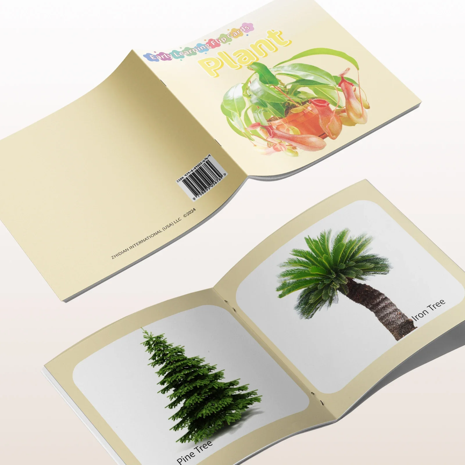 Card Books - Lively Knowledge Card Books for Early Learning, Educational Cards