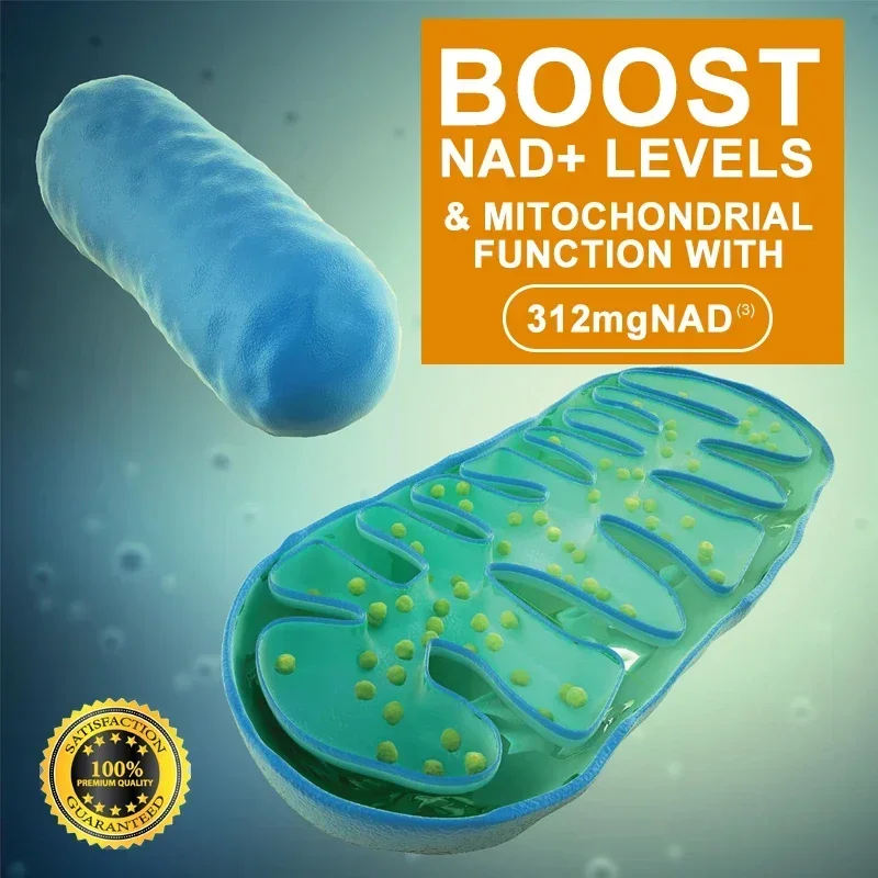 NAD - Anti-aging, Helps Boost Energy, Promotes Cell and Skin Health, Promotes Blood Circulation