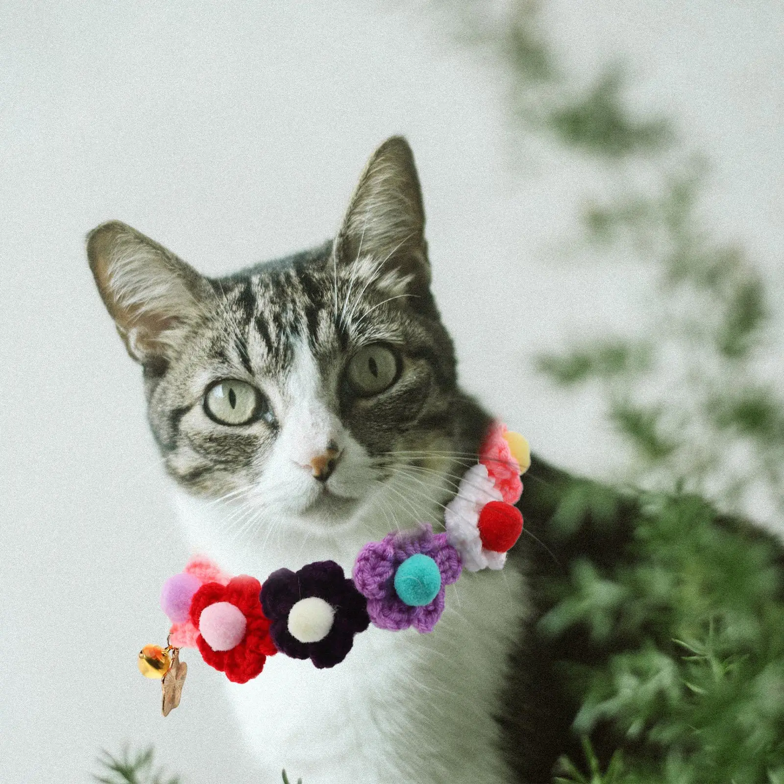 

1Pcs Pet Knitted Collar Flower Scarf Soft Comfortable Winter Neck Warmer for Cats Dogs Party Pet Collar Cat Collars