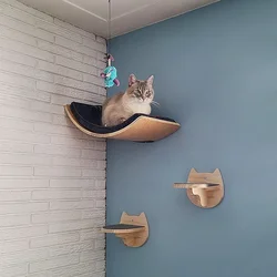 Mensola a parete per gatti gradini curvi per letto per gatti mensole angolari amaca per dormire arrampicata tiragraffi mobili per animali domestici