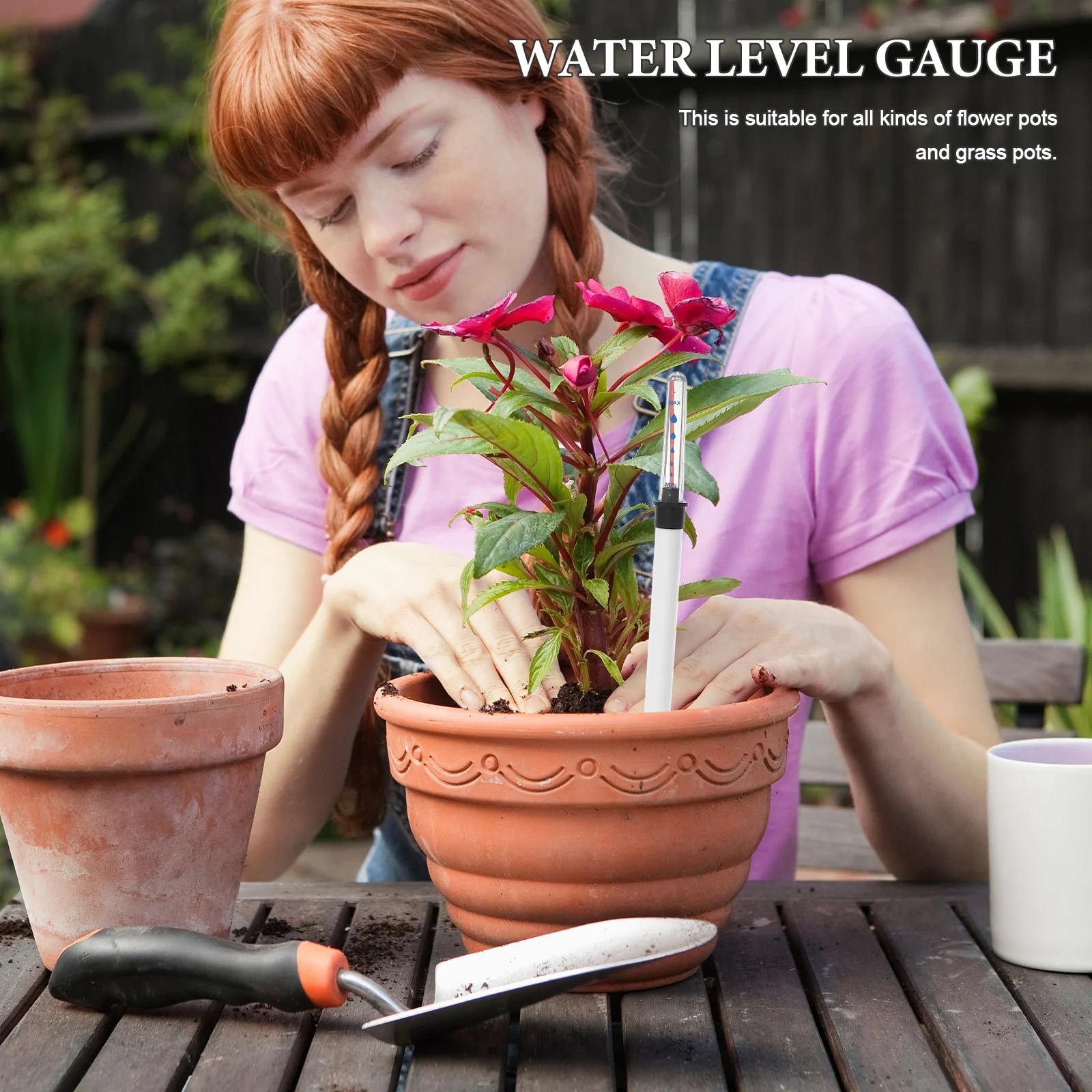 

2 Pcs Gauge Plant Needs Water Indicator Level for Potted Plants Floating Indicators