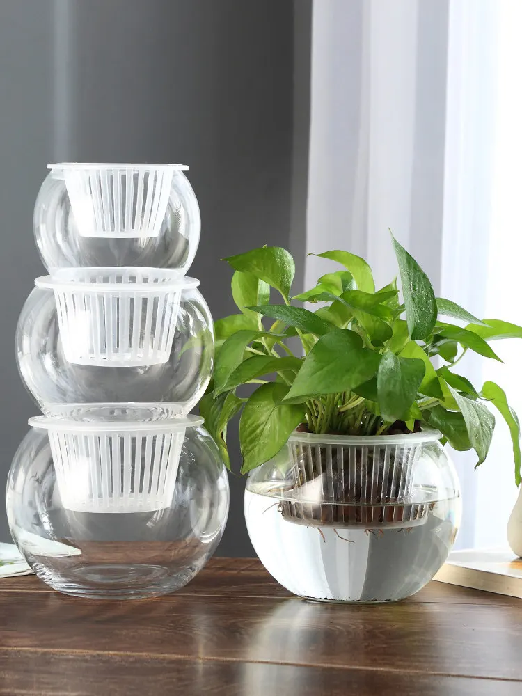 Hydroponic Glass Vase Glass Gr - Propagation Station Vase recension och pris