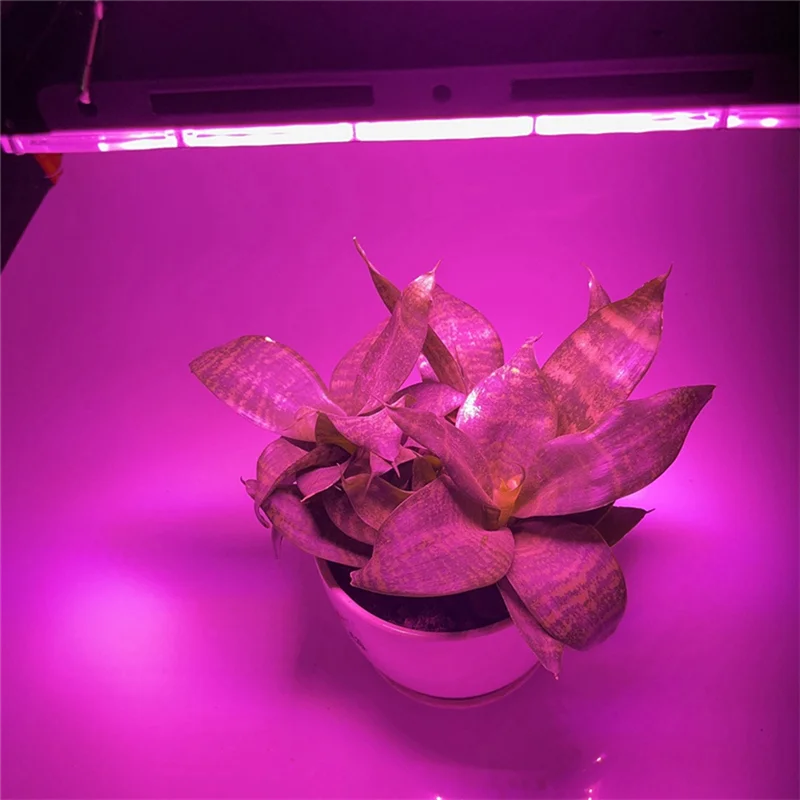 Full Spectrum LED Grow Light Phytolamp For Plants Tent Flower Seeding 50W US Plug