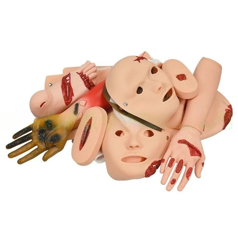 

16 Advanced Trauma Assessment Module, Trauma Model Trauma Module, Emergency Nursing, Simulation Teaching Aids Training