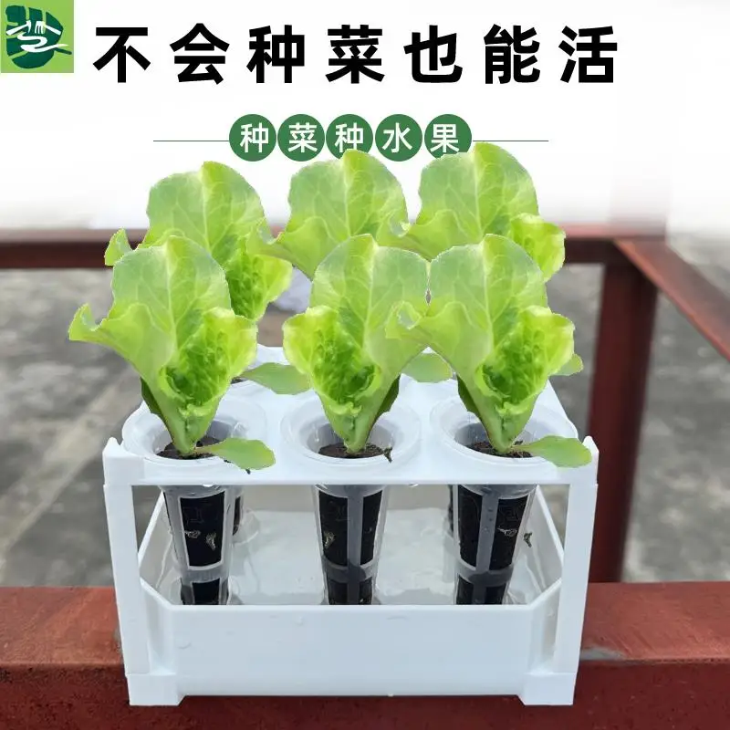 Hydroponic Cultivation Box Household Balcony Vegetable Grow Kit Seedling Tray Student Plant Observation Container