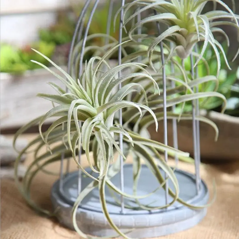 Artificial Pineapple Grass Air Plants Fake Flowers As Home Wall Decoration for Festive Party