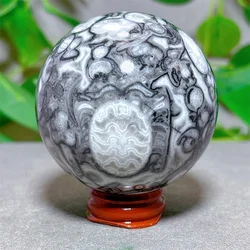 Shellstone Sphere Crystal Natural Stone Quartz Stone Minerals Home Decoration Reiki Energy Healing Spiritual Fortunate +Stand