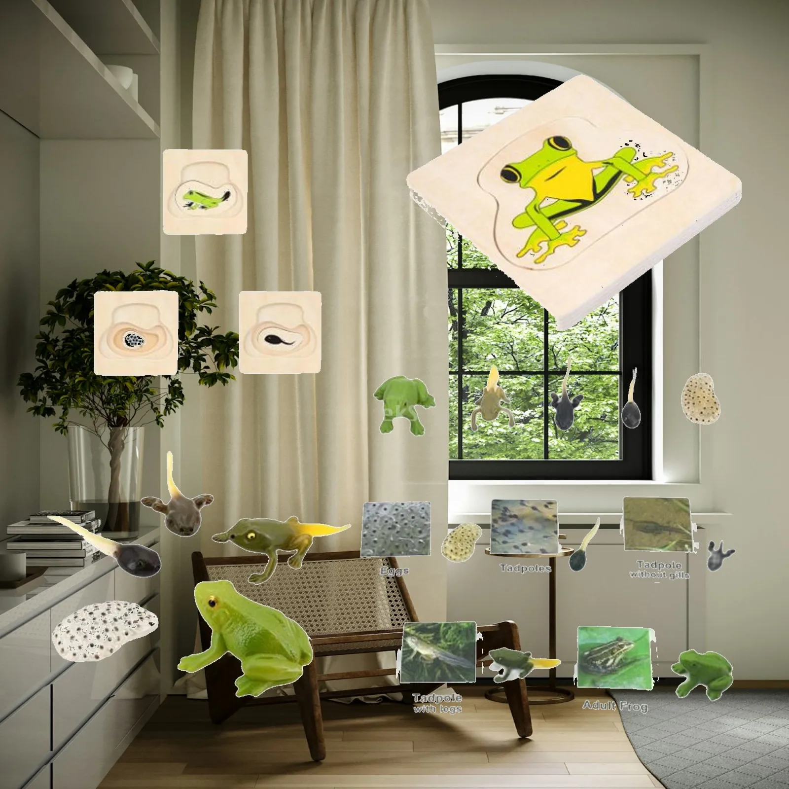 

feelfreeau Life Cycle Puzzle Educational Toys with Cards Science Cognition