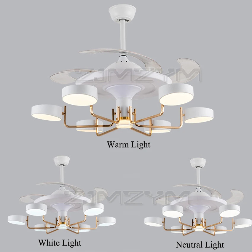 42 Inches Acrylic Fan Lamp Nordic Minimalist Frequency Conversion Personality Ceiling Fan Light With Remote control 220V 70W