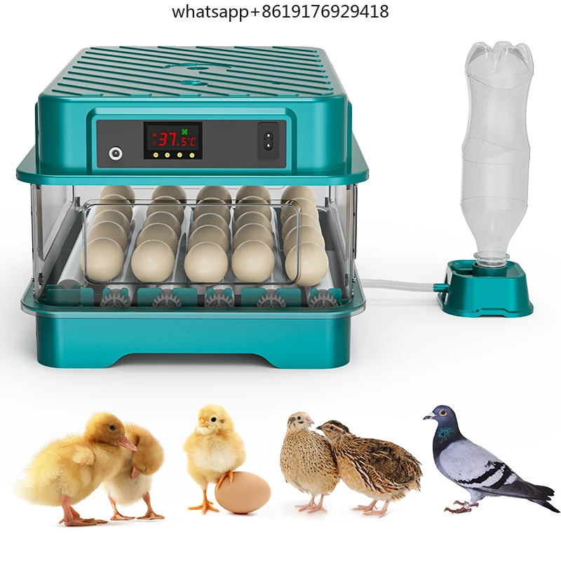 Inkubator Telur Otomatis Daya Ganda 24 Telur untuk Menetaskan Ayam, Bebek, Puyuh, Dijual