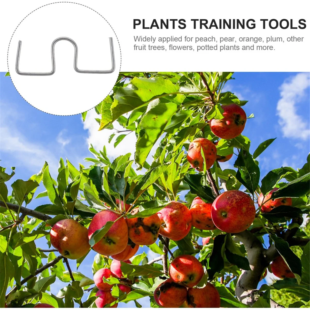 Fruit Tree Branch Puller Tying Machine Farm Tools New Plum Tree Open Angle Pull Branch Bending Tool Fruit Branch 50PCS Vogue