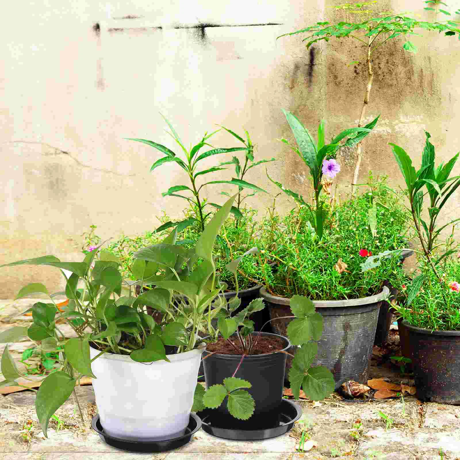 5 Pcs Plastic Flower Tray Bottom Plant Saucers For Flower Pots Planters Water Tray Large Plant Drip Trays Garden Supplies image 4
