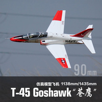 Freewing Flying Wing Model T-45 \