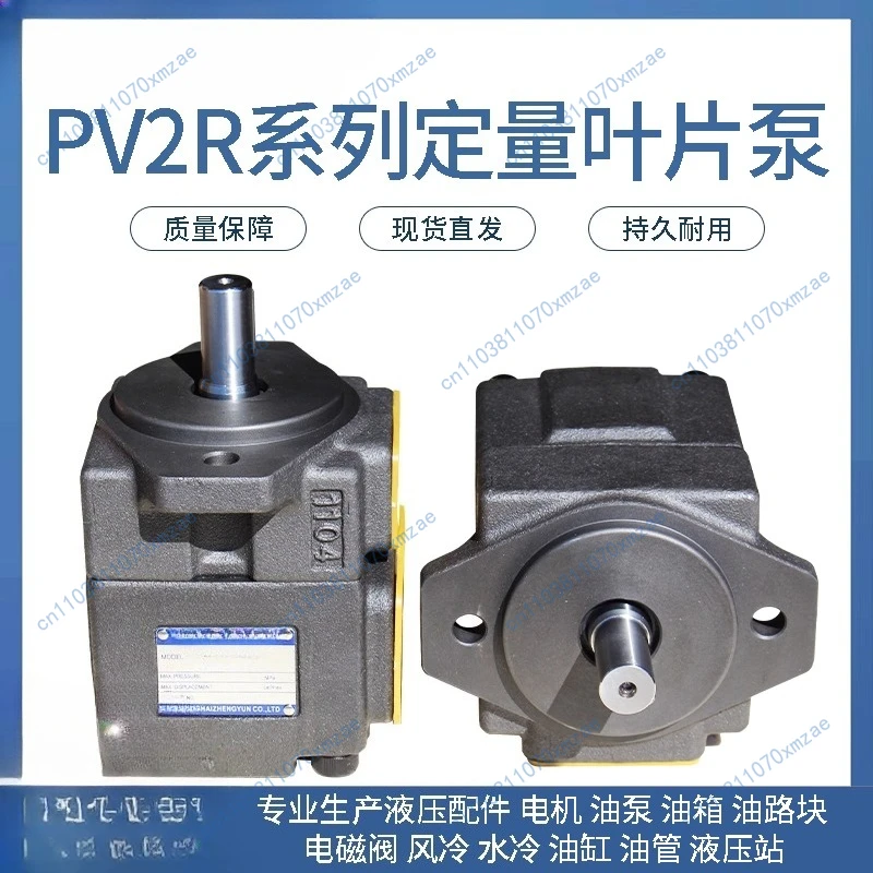 Pompe à palettes haute pression PV2R1-10 12 14 17 19 23 25 28 31, pompe à huile hydraulique, tête de pompe PV2R32