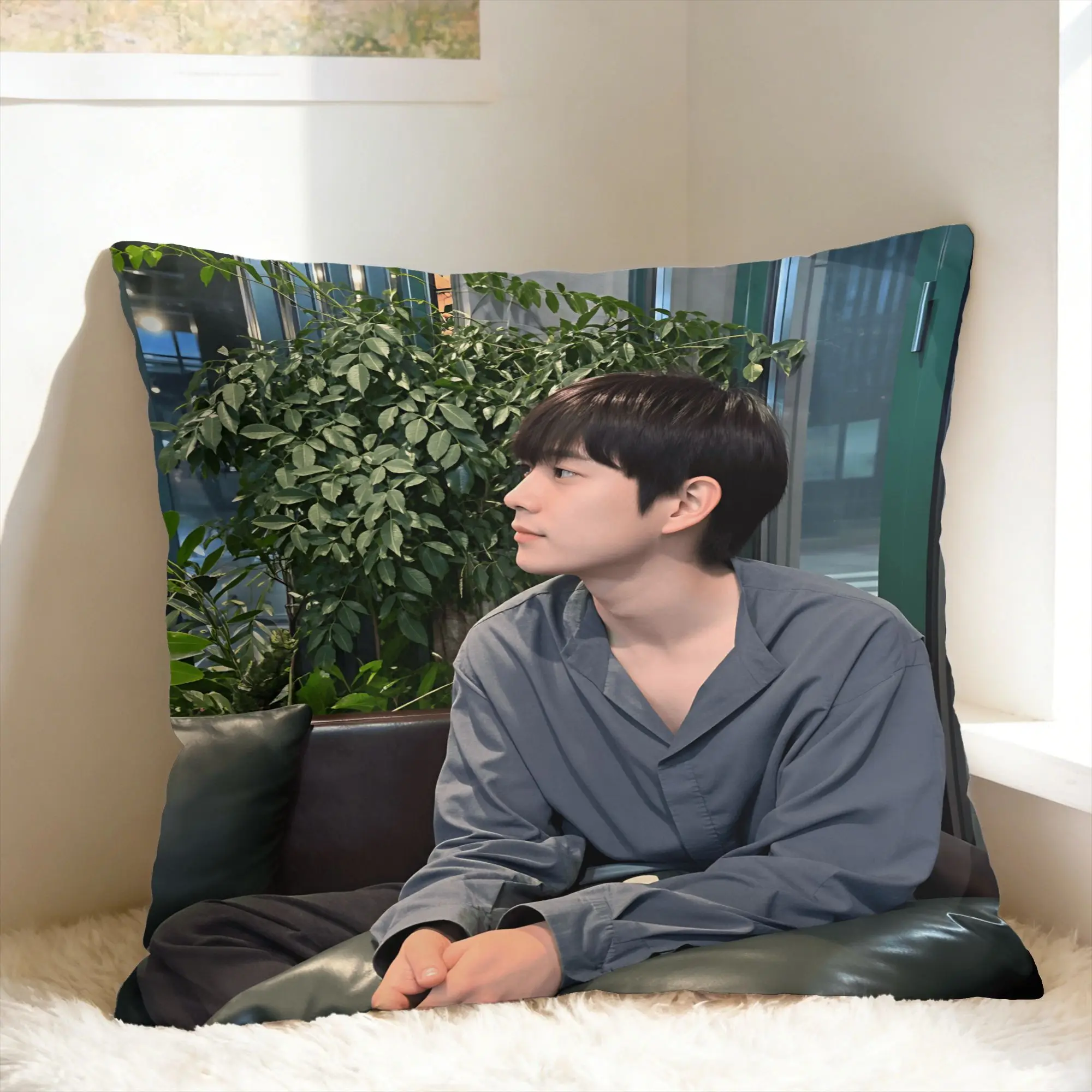 Y-Young-dae Kim Pillow Case  Graphic Pillow Cover Vintage Pillowcases For Sofa Couch Bed Living Room