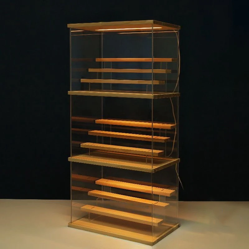 Clear Acrylic Display Cabinet with Door and Light, Action Character Display Case with Holder, Dust-Proof Storage Box for Toys