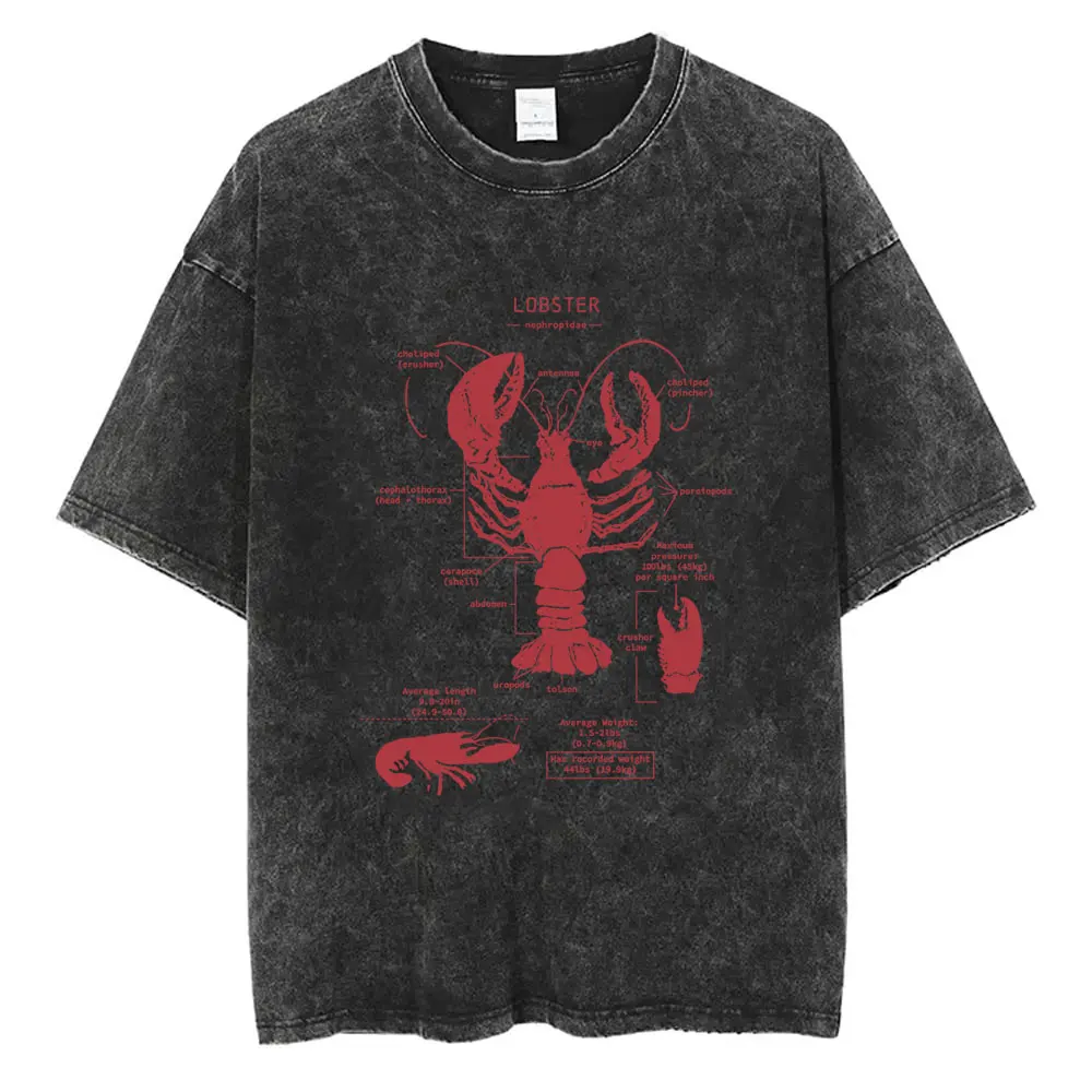 

Funny Lobster Anatomy Vintage Washed T-shirt Men Women Casual Oversized Crewneck T Shirts Tops Men's Fashion Tshirt Srteetwear