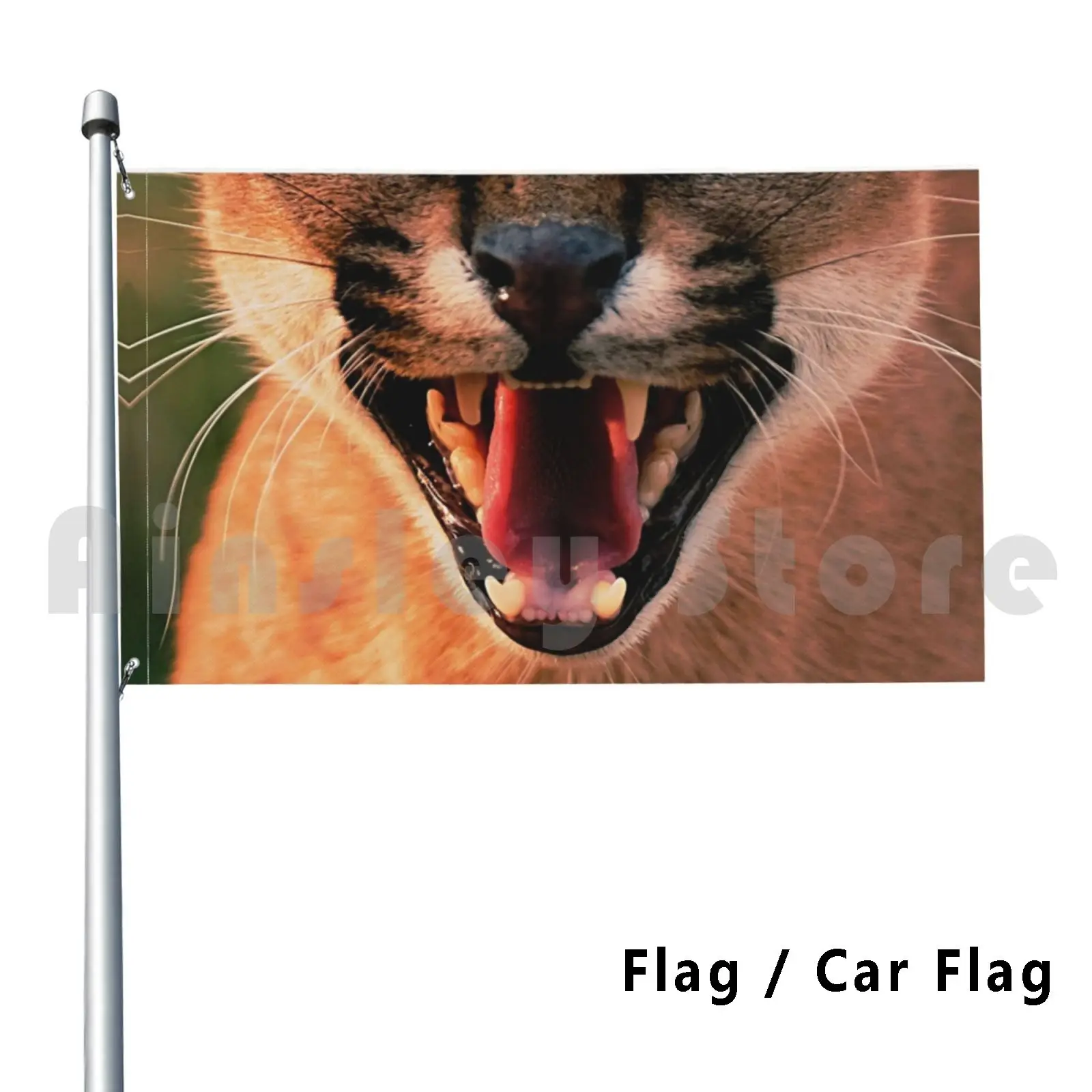 Caracal Cat Mouth Outdoor Decor Flag Car Flag Caracal Cat Mouth Wild Cat Lynx Desert Lynx Lynx Lovers Funny Animals