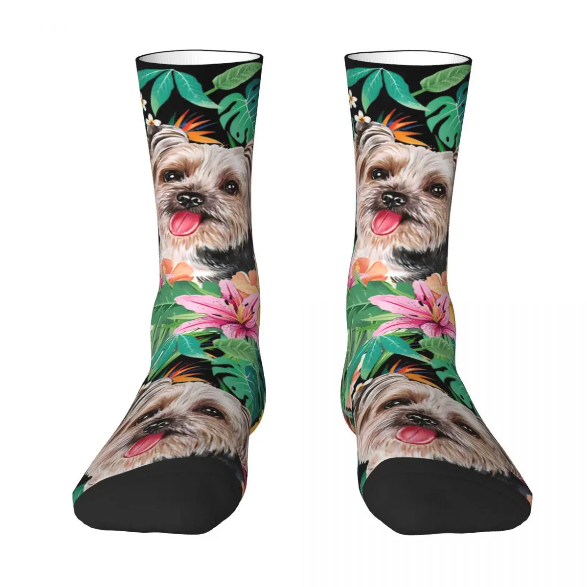 Westie West Highland White Terrier Dog Socks Autumn Stockings Modern Men Breathable Socks Printed Running Sports Anti Slip Socks