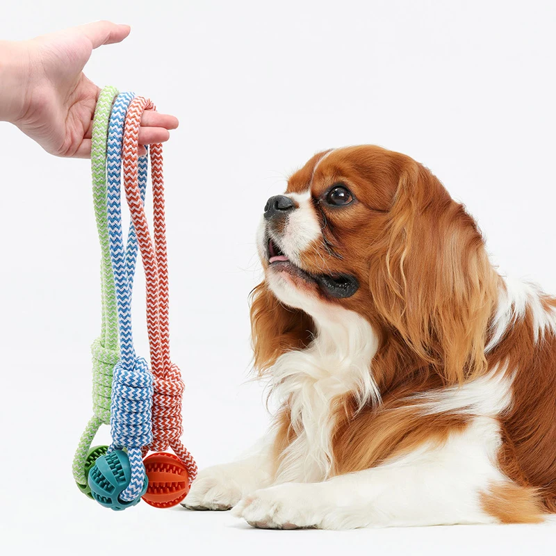 

7cm Rubber Bite Resistant Dog Ball Toys with Rope Training Tugging Playing Tooth Cleaning Dog Toys Interactive Puppy Accessories