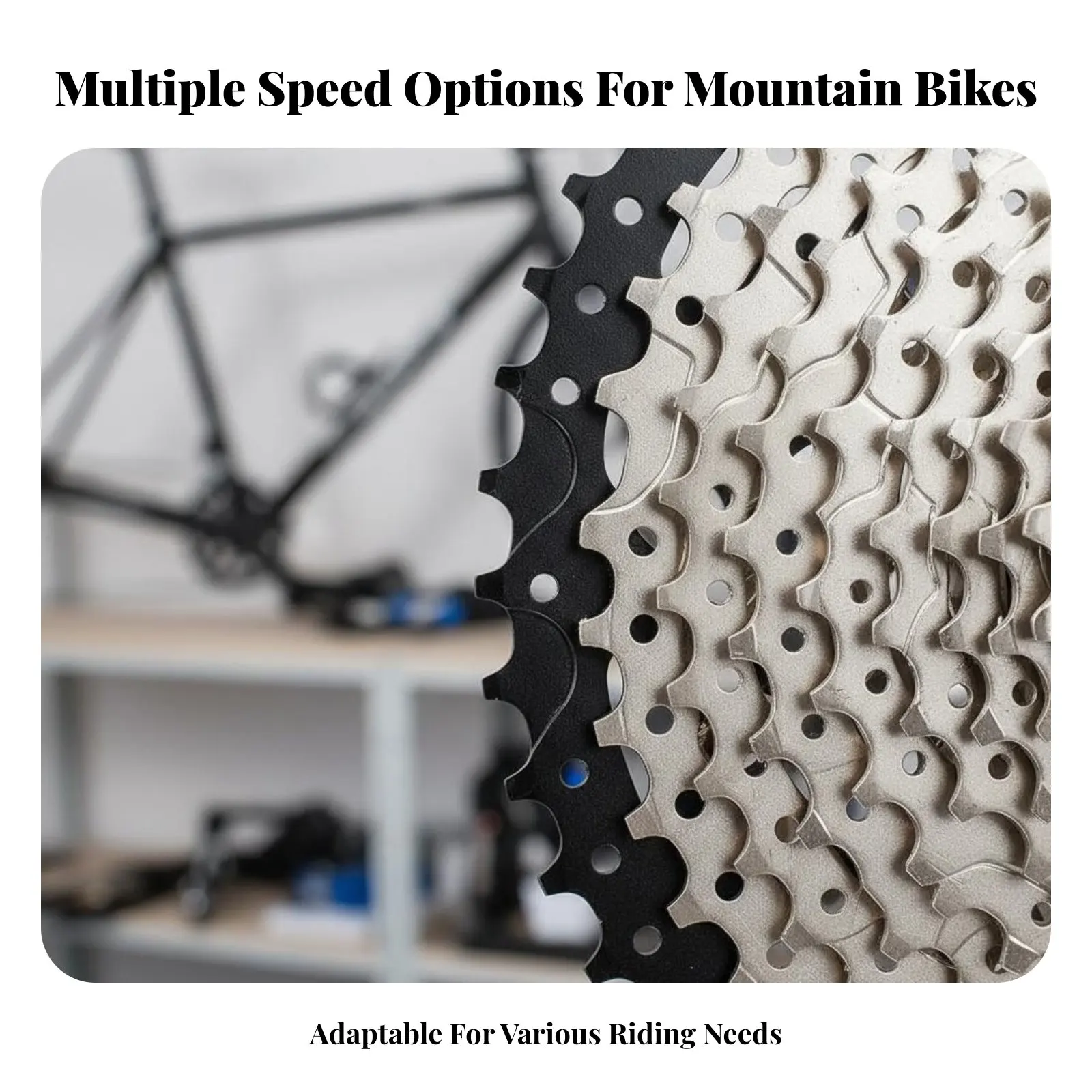 

Mountain Bike Cassette Flywheel Effortless Change Ing Mountain Bike Cassette Drivetrain Part Wear-Withstand Ant Long-Lasting