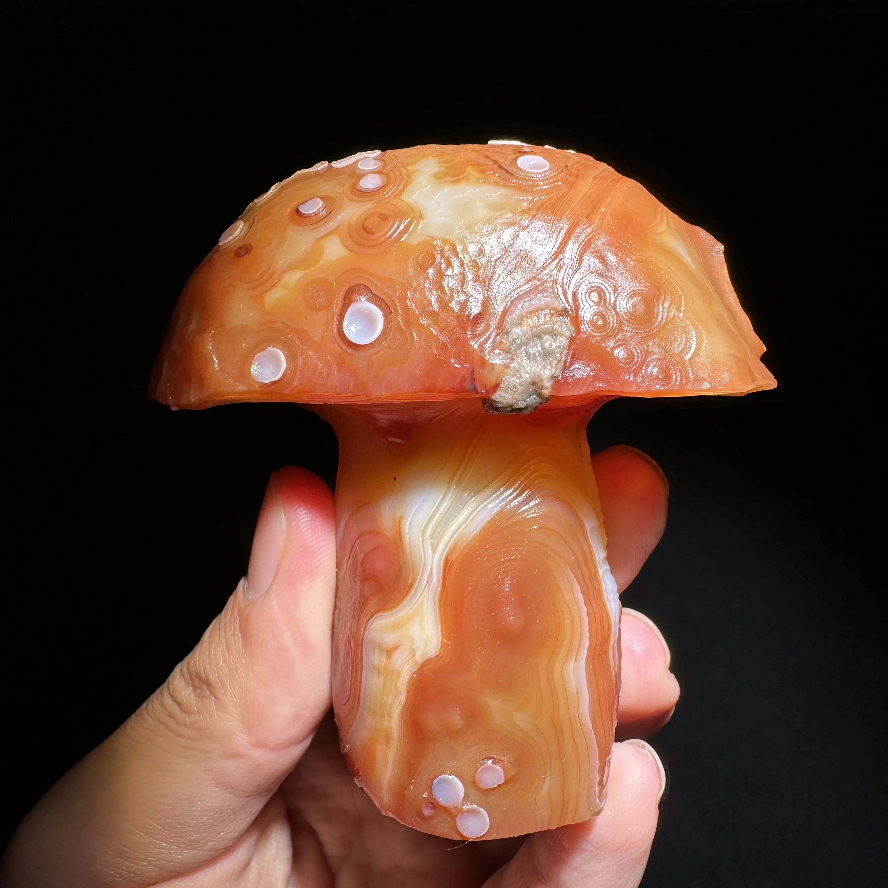 

Natural Agate mushroom Alxa Gobi Eye Mineral Specimen Energy Crystal Chakra Reiki Healing Stone Garden Decor