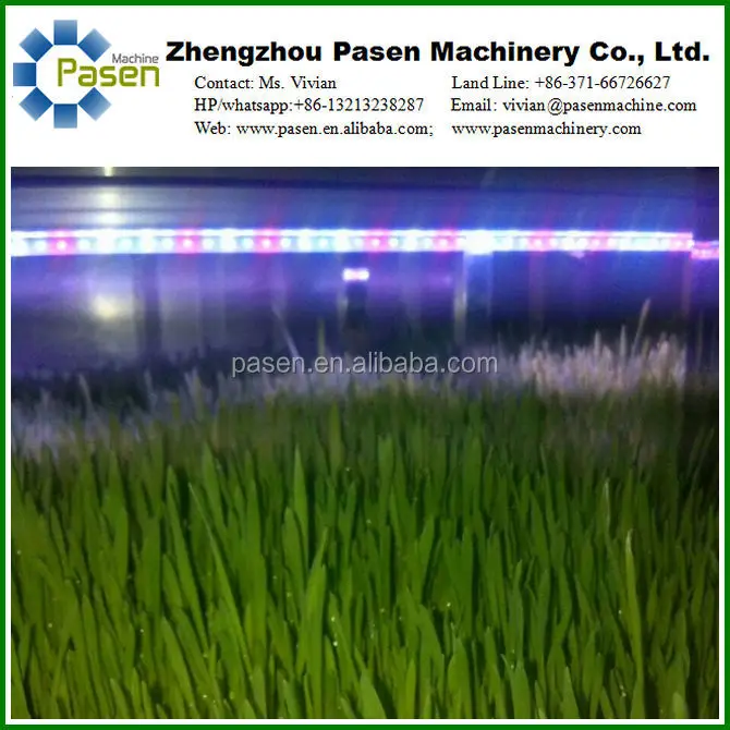 Green Hydroponic Seeds Sprouting Machine/ Animal Fodder Tray Germination House Price