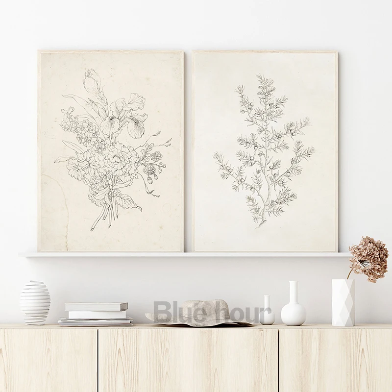 Vintage Birch Tree Sketch Art Prints Antique Botanical Drawing Canvas Poster Rustic Country Farmhouse Wall Painting Home Decor