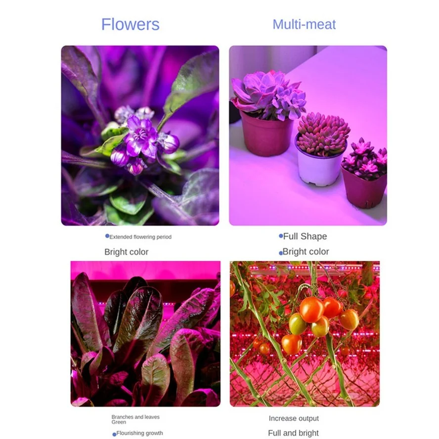 Grow Light Full Spectrum Phytolamp For Plants Light USB Phyto Lamp Led Grow Lamp For Seeding Hydroponics Flowers Tent Box Indoor