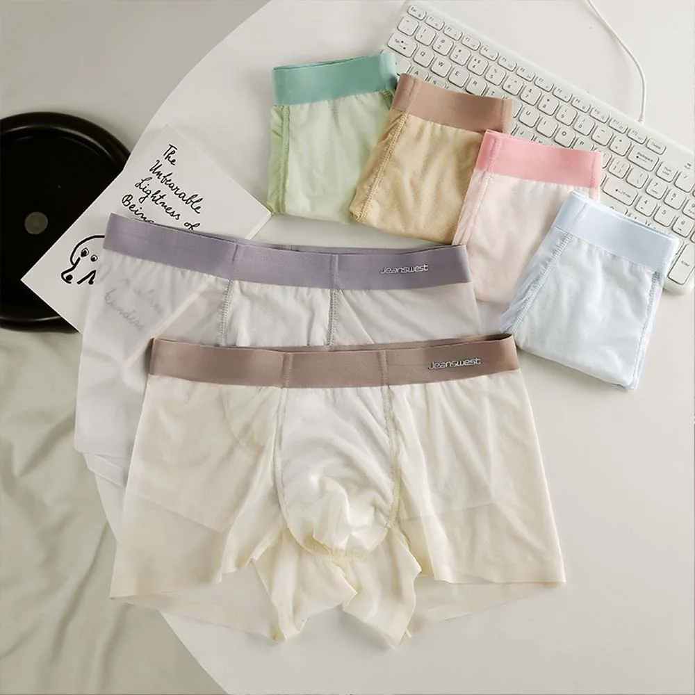 

2/3/4/6Pcs Man Underwear Ice Silk Quick-Dry Men's clothing Summer Lightweight Breathable Men underpants Mesh Boxers man