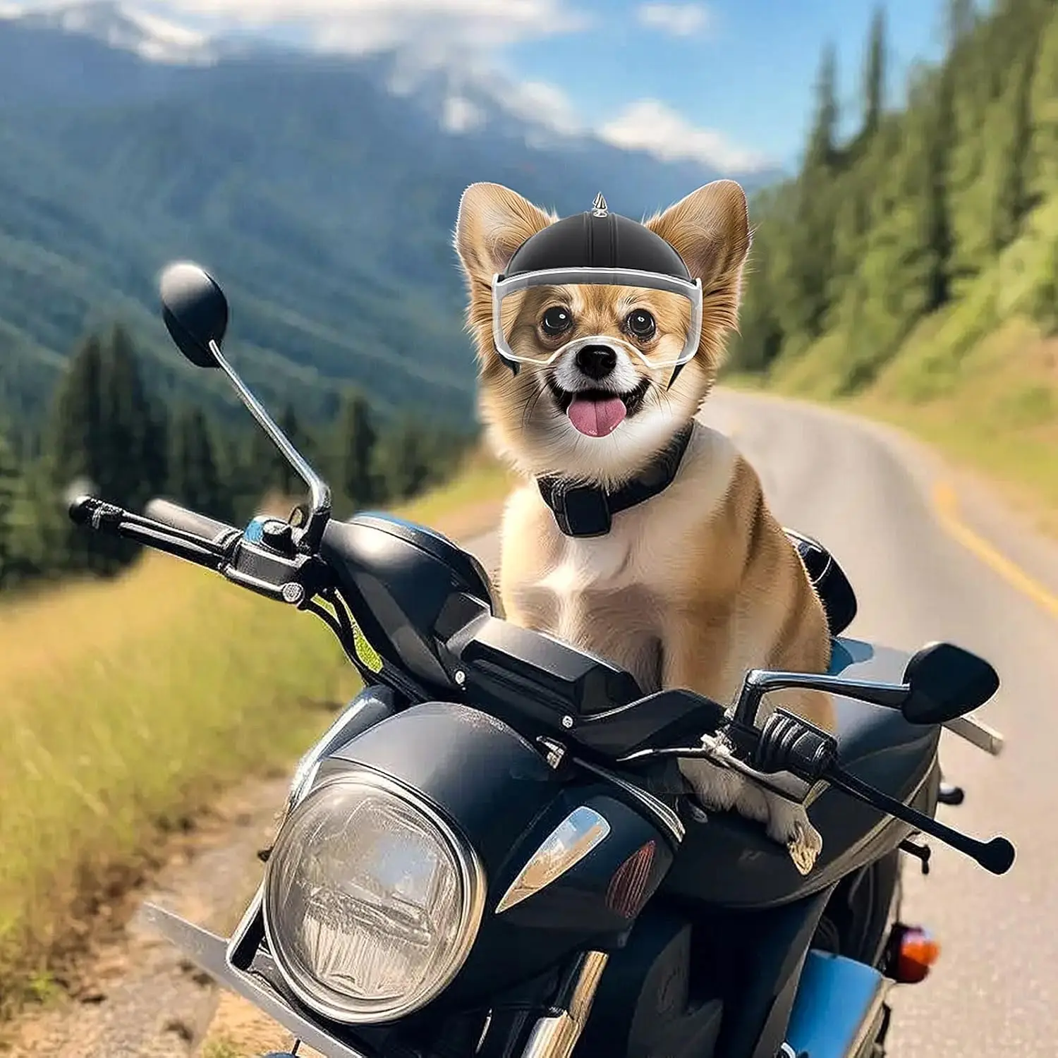 Small Dog Helmet Pet Motorcycle Helmet Ear Holes Adjustable Pet Safety Hat with Flip-Up Clear Visor Small-Medium Puppy Heads