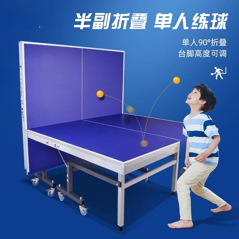 Table Tennis 201a Foldable Indoor Standard Household Portable Single Ping Pong