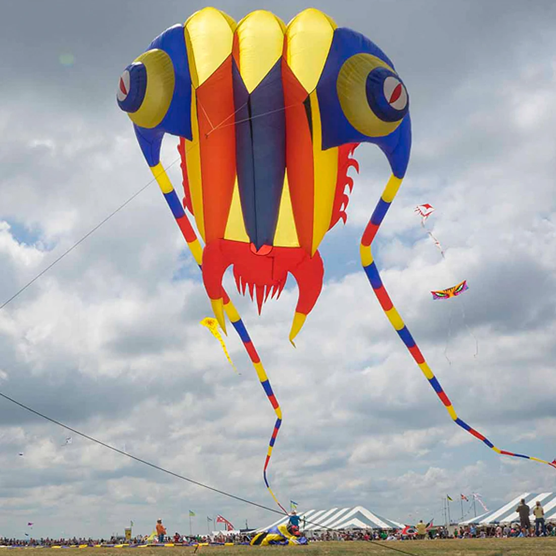 9KM 16sqm Huge Trilobite Kite Pilot Lifter Line Laundry Pendant Soft Inflatable Show Kite for Kite Festival Ripstop Nylon Fabric