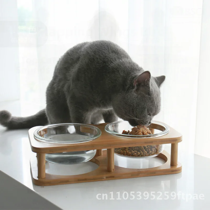 Double Glass Cat Bowl with Stand Dog Drinking Water Pet Bowl Protecting Cervical Spine - Single Square Inner round Design