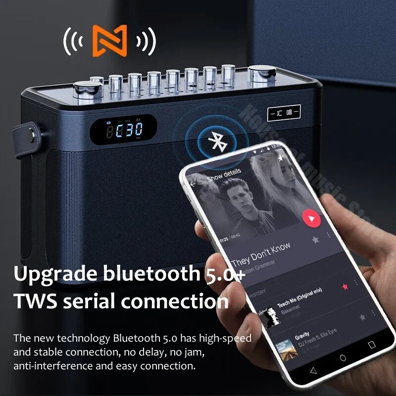 100 Вт высокомощные профессиональные домашние Hi-Fi караоке Беспроводные Bluetooth колонки портативный OTG цифровой живой динамик с 2 микрофонами