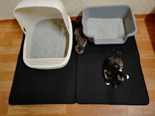 Customer review photo for Double-Layer Cat Litter Mat