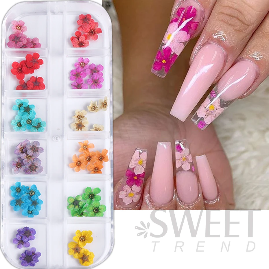 3D suche kwiaty zdobienie paznokci dekoracje rękodzieło dekoracyjne do domu naturalne suszone naklejki kwiatowe Charms DIY Manicure wzory akcesoria