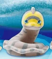 Banded moray eel