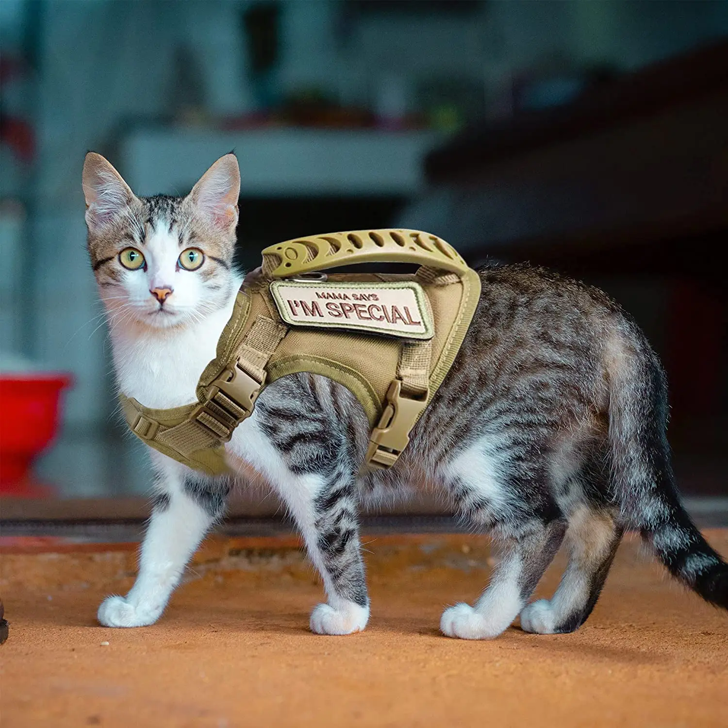 Tactisch Kattentuig Voor Wandelend Ontsnappingsbestendig Verstelbaar Vest Harnas Zacht Mesh Met Bedieningshendel Voor Kleine Grote Katten