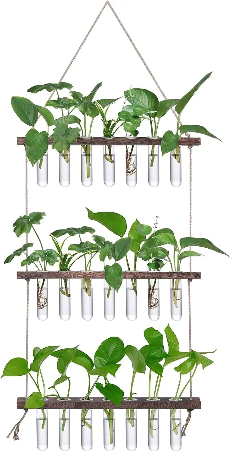 

Wall Hanging Propagation Station with Wooden Stand, 21 Glass Test Tubes, 3-Tier Planters for Home Office, Hydroponic Cuttings
