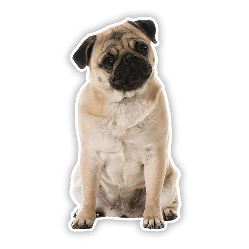 

Self-adhesive Decal Pug Dog V4 Car Sticker Waterproof Auto Decors For Bumper Rear Window Laptop Helmet B0691#