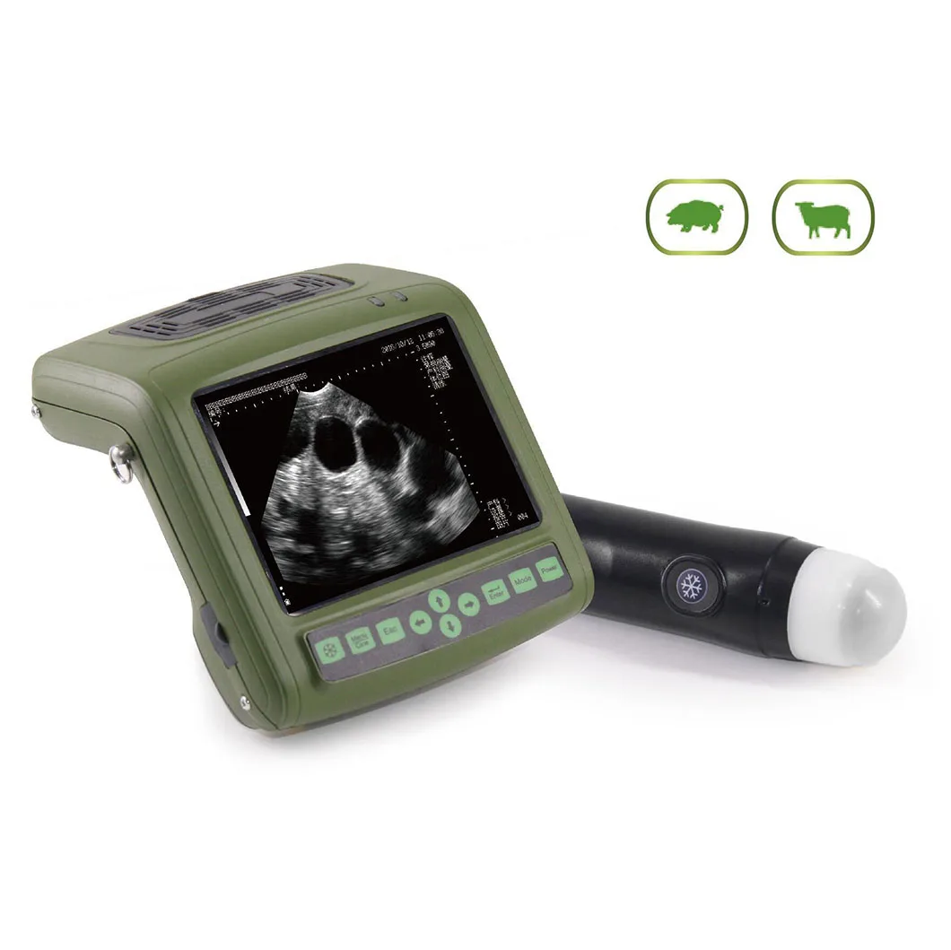 

Most Economic Vet handheld Animal Ultrasound Scan Machine for Sheep Cows Equine Dogs