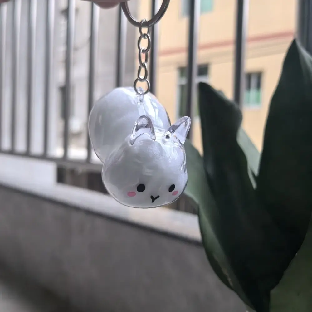 Transparent Pet Hair Storage Keychain Hair Container Keyrings Memorial Rabbit Hair Collector Bag Charm Animal