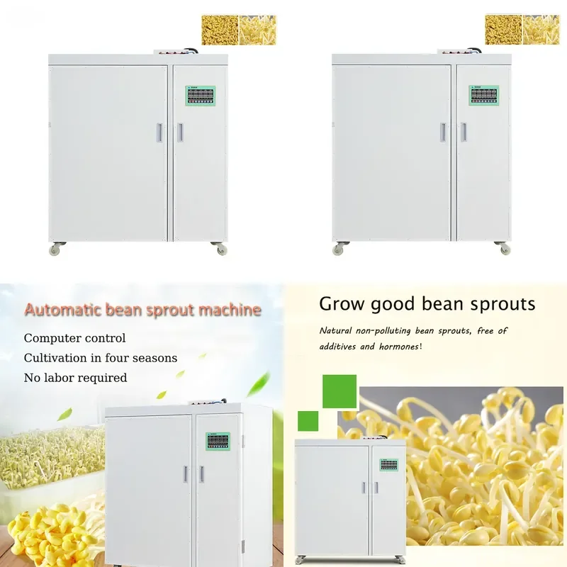 250Kg Day Bean Sprouts Growing Machine Wheat Sprouts Equipment Soybean Sprouting Device for Home Commercial Use Automatic