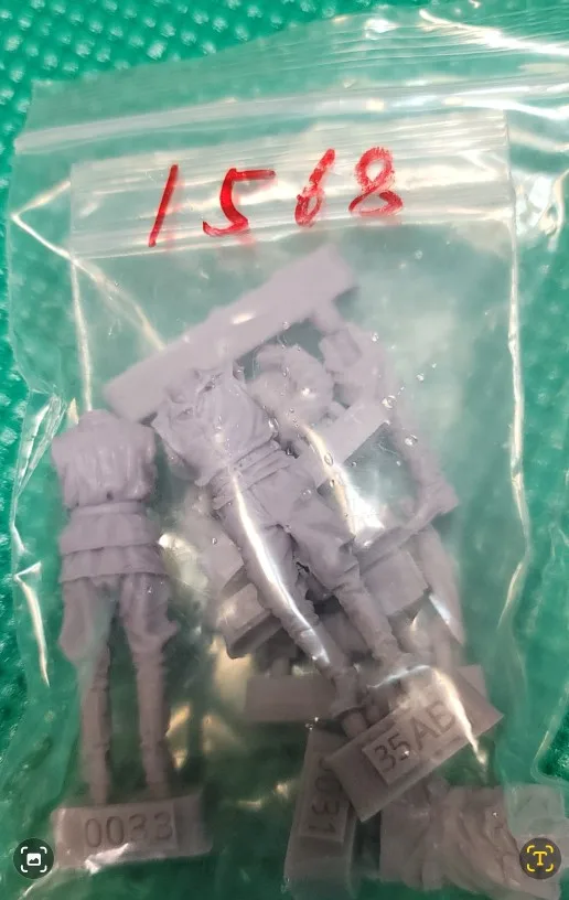 Buyer photo of this resin kit