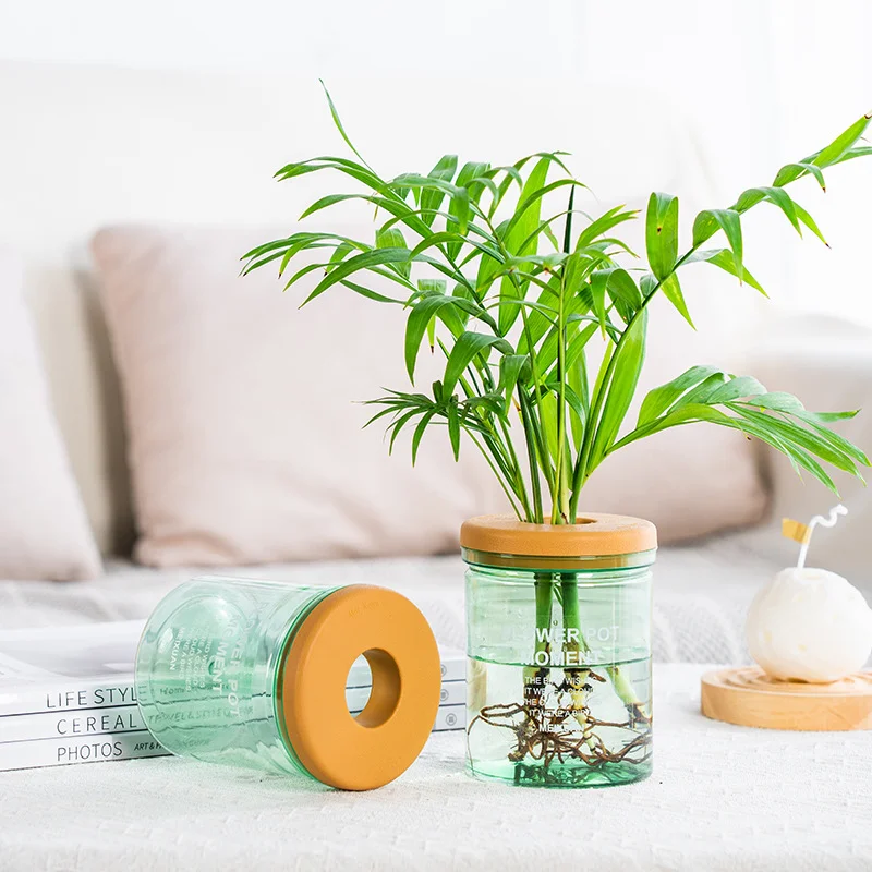 Water Plant Pot Plastic Transparent Hydroponic Small Pots for Plants Flowerpot Soilless Gardening Planter Vases Home Decor